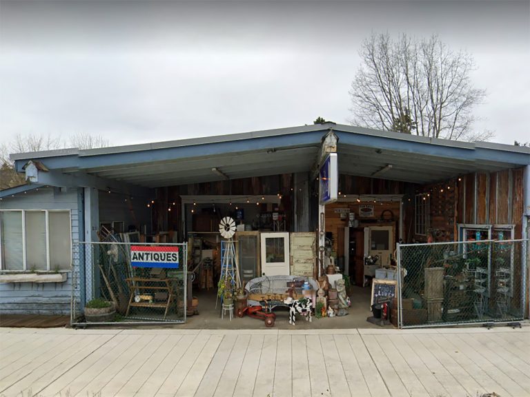 blue iris carnation wa 1200x900 1 768x576