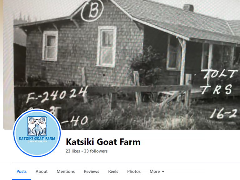 katsiki goat farm screenshot 768x576
