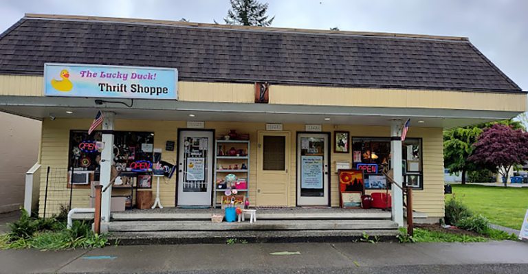 lucky duck thrift shoppe fall city wa 002 825x430 1 768x399