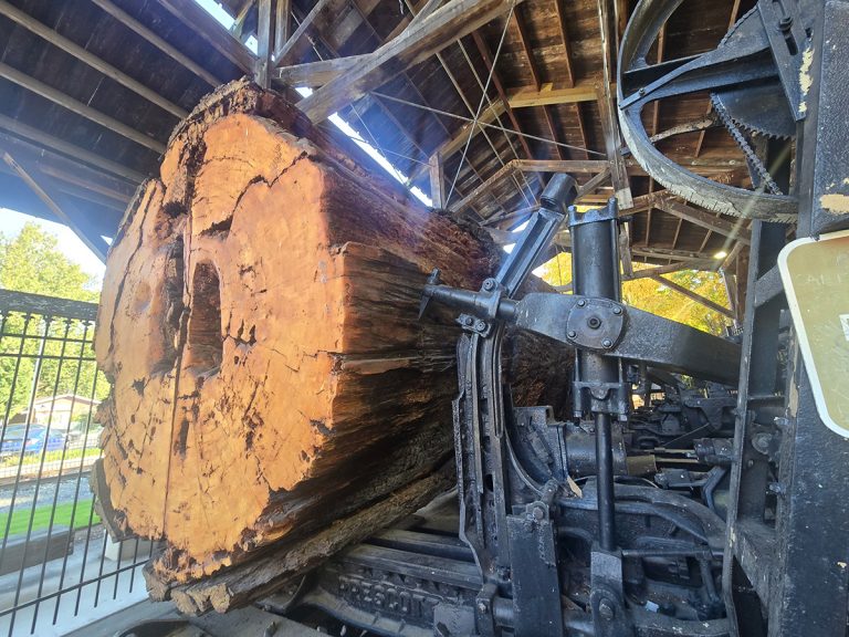 Snoqualmie Centennial Log Pavilion