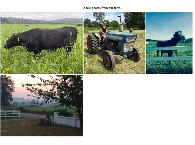 Broad Acre Farm screen capture - Carnation, WA