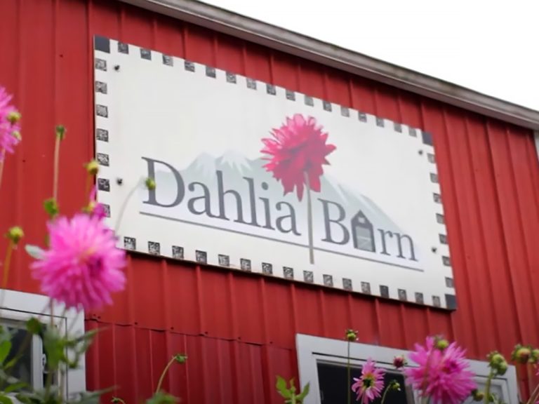 dahlia barn screen north bend wa 1200x900 1 768x576