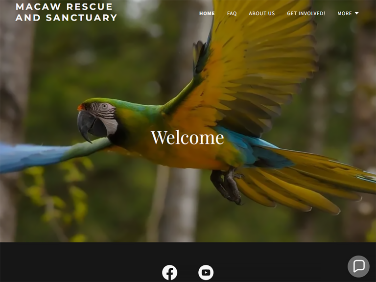 Macaw Rescue and Sanctuary - Carnation, WA