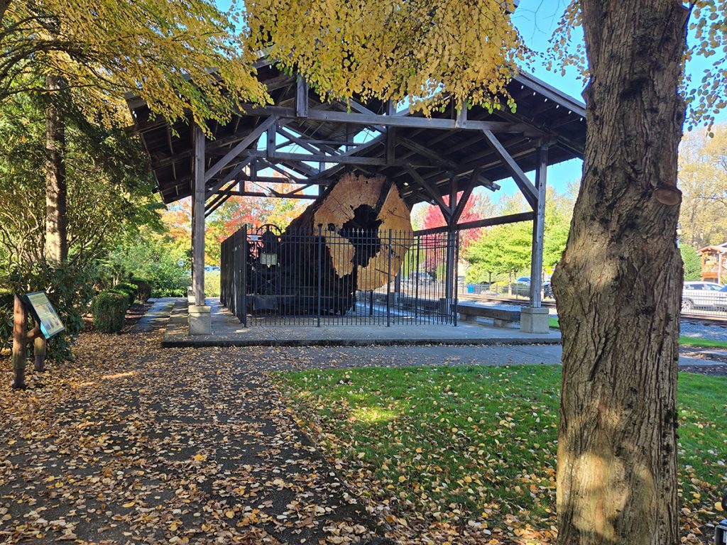 Snoqualmie Centennial Log Pavilion