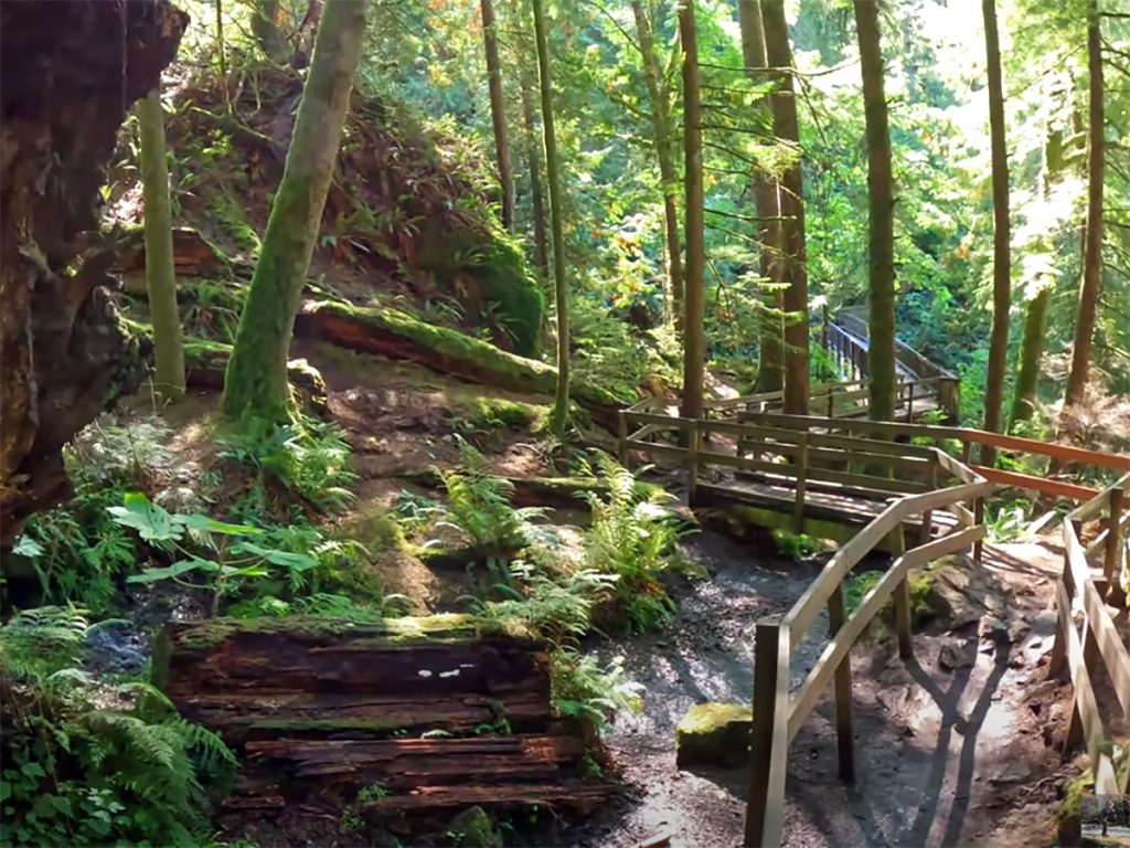 twin falls natural area screen 1200x900 1 1024x768